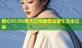 糖心VLOG柴犬日常趣事温馨生活全记录